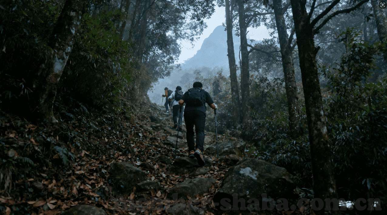 票房大卖王下载九游-票房大卖王，游戏产业的胜利与娱乐经济的繁荣
